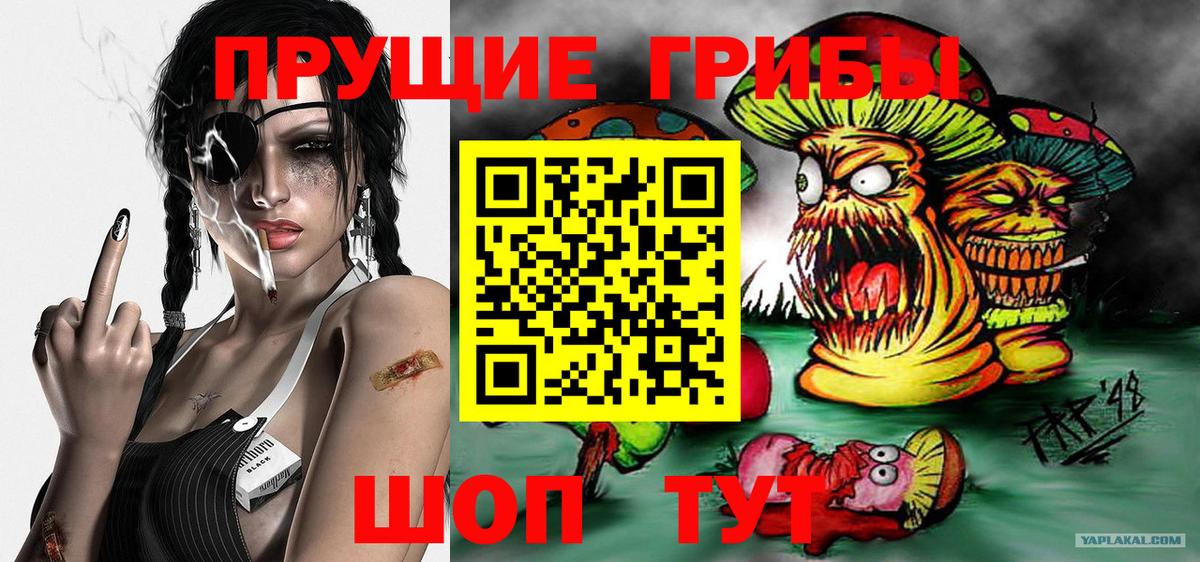 Галлюциногенные грибы прущие грибы Зеленодольск